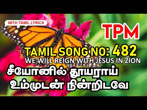 TPM Tamil Song 482 | Seeyonil thoyaraai ummudan nintridave