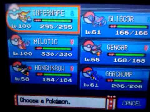 Pokemon Platinum Team Lineup