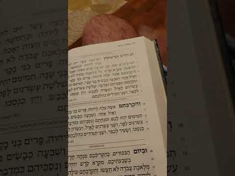 musaf for shalosh regalim