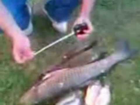 Sebi Muresan si prietenii