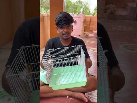 Hamster -கு புது வீடு 🐀 #shorts