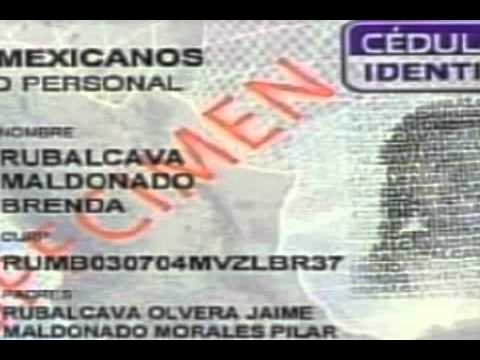 La llamada cédula de identificación personal pudiera inhibir la participación ciudadana