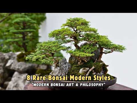 You’ve Never Seen Bonsai Like This 🌱 | 8 Rare Bonsai Modern Styles