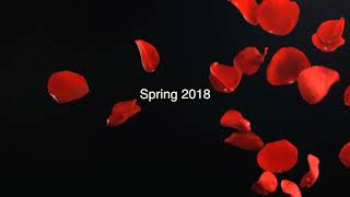 NEW music Video Drops on the 11th Of May (Friday starting at midnight)