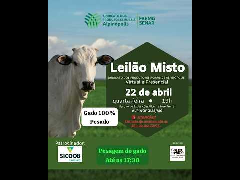 LEILÃO DE GADO SINDICATO DE ALPINÓPOLIS MG