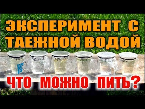 ОЧИСТКА ВОДЫ. ОБЕЗЗАРАЖИВАНИЕ ВОДЫ. ФИЛЬТРЫ, УФ И ВЫЖИВАНИЕ. Какую воду можно пить без страха.