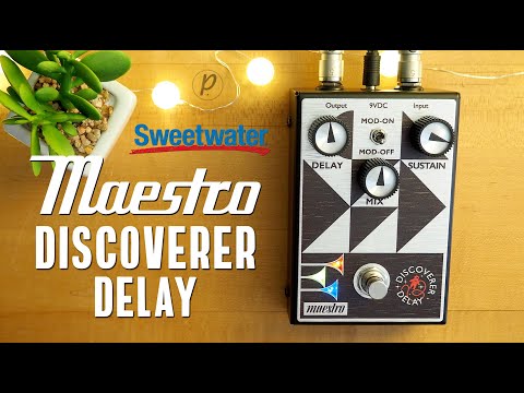 Maestro Discoverer Delay 2022 - Present - Black Graphic image 6