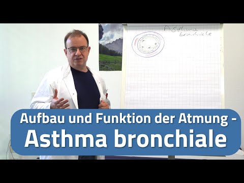 Bronchial asthma explanation - What does bronchial asthma mean?