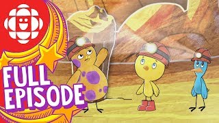 Chirp | Journey to the Cave of Wonders | CBC Kids