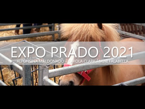 , title : 'Mundo de Caballos - Programa 18 - Expo Prado 2021'