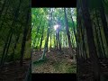 Healing Gaia Chant Meditation Music In Nature