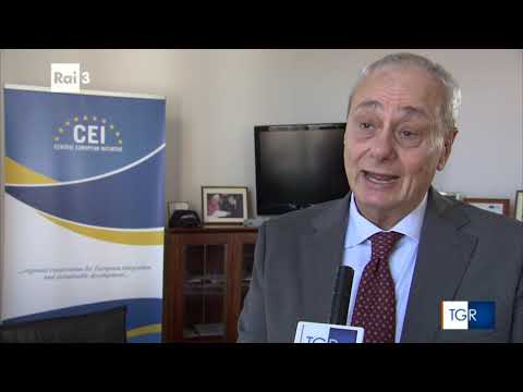 30 years of Central European Initiaitve (Video by TGR EST OVEST)  - EN