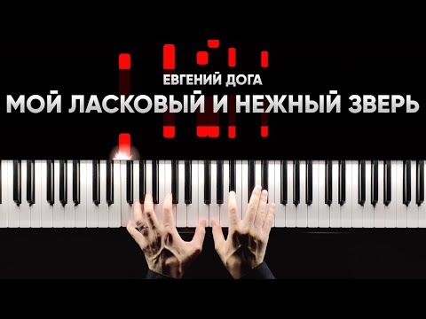 ЕВГЕНИЙ ДОГА - МОЙ ЛАСКОВЫЙ И НЕЖНЫЙ ЗВЕРЬ - На Пианино