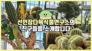 EP.2 선인장다육식물연구소의 친구들을 소개합니다!