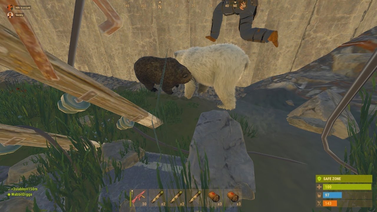 polar bear v bear comparison - rust