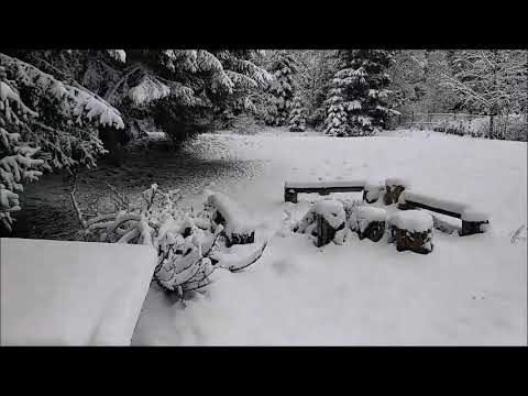 Šumavský sen - Chata na Losenici