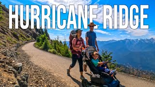Exploring Port Angeles and Hurricane Ridge in the Olympic National Park  - Family Vlog