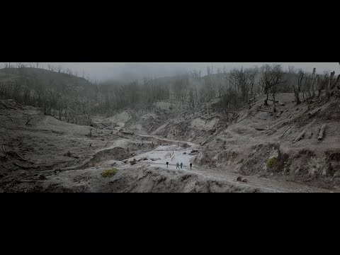 PNEUMA - WATERSHIP DOWN  (Official Music Video)