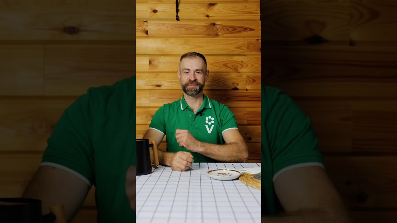 Семена лаванды, хвойных и плодовых взойдут щеткой, если сделать так перед посевом! Стратификация семян