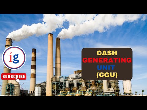 What is a Cash Generating Unit CGU