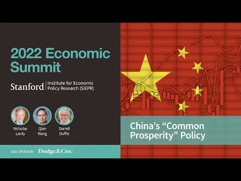 China's "Common Prosperity" Policy Panel