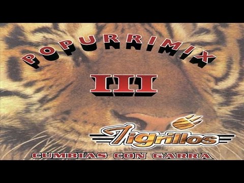 Cumbias con Garra Vol. 3 - Los Tigrillos (Popurri Mix III)