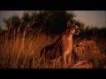 Ismael Lo~Dibi Dibi Rek { Original Version} With Nature Video Clip