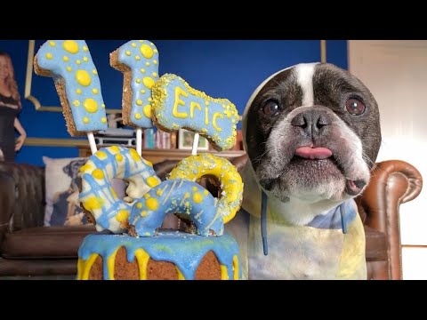 French Bulldog Eric Charming's 11th birthday!