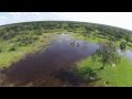 Last Elephant Paradise