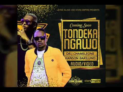 Hanson Baliruno x Jose Chameleon Tondekangawo