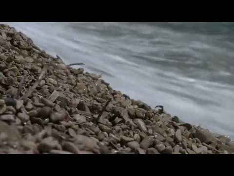 J.Š.Slavenski  -Voda zvira - Zbor HRT - Tonči Bili