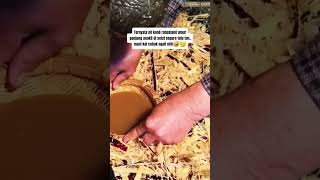 Download lagu Kènè ternyqaa rahasianè.. beneh je..🤣🤭 #funny #comedy mp3