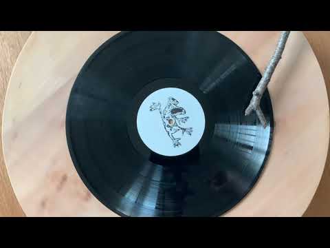 Ulrich Troyer - NOK 2020 Album Teaser 3