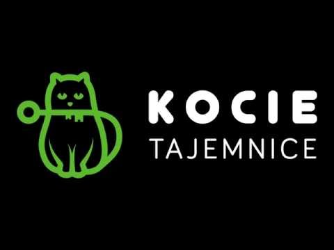 MRAU Cafe Kocia Kawiarnia Lublin / Relacja / KOCIE TAJEMNICE