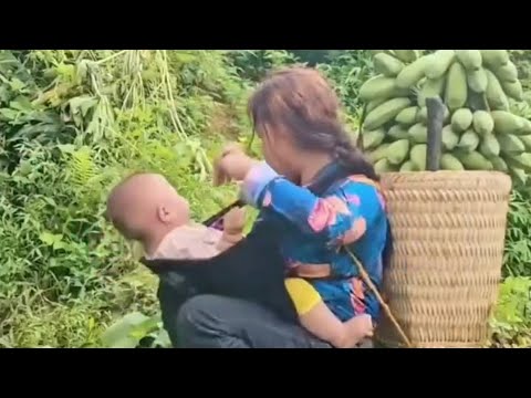 A Mother and Child Sell Bananas to Fix Their House