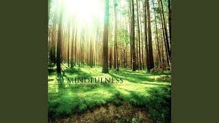 Download lagu 5 Minutes Meditation Music mp3