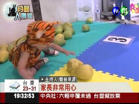 邊搬邊跌跤! 寶寶搬柚賽趣味十足