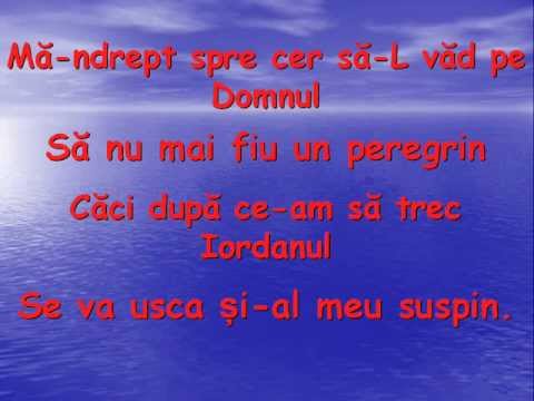 Lidiana Pindic Blaj - Sunt un pribeag fara de tara