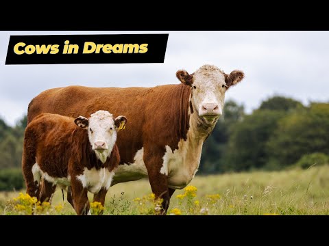 The Symbolic Meaning of Cows in Dreams: A Spiritual Exploration