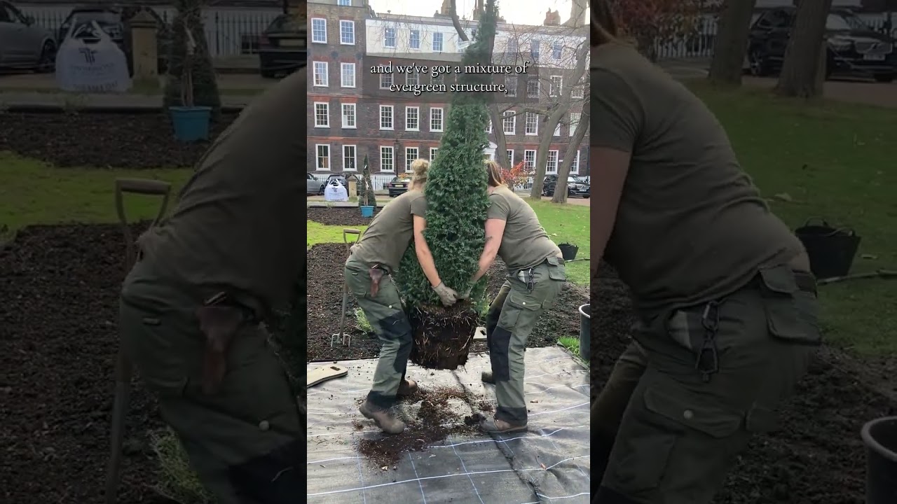 New Square, reimagined 🌱