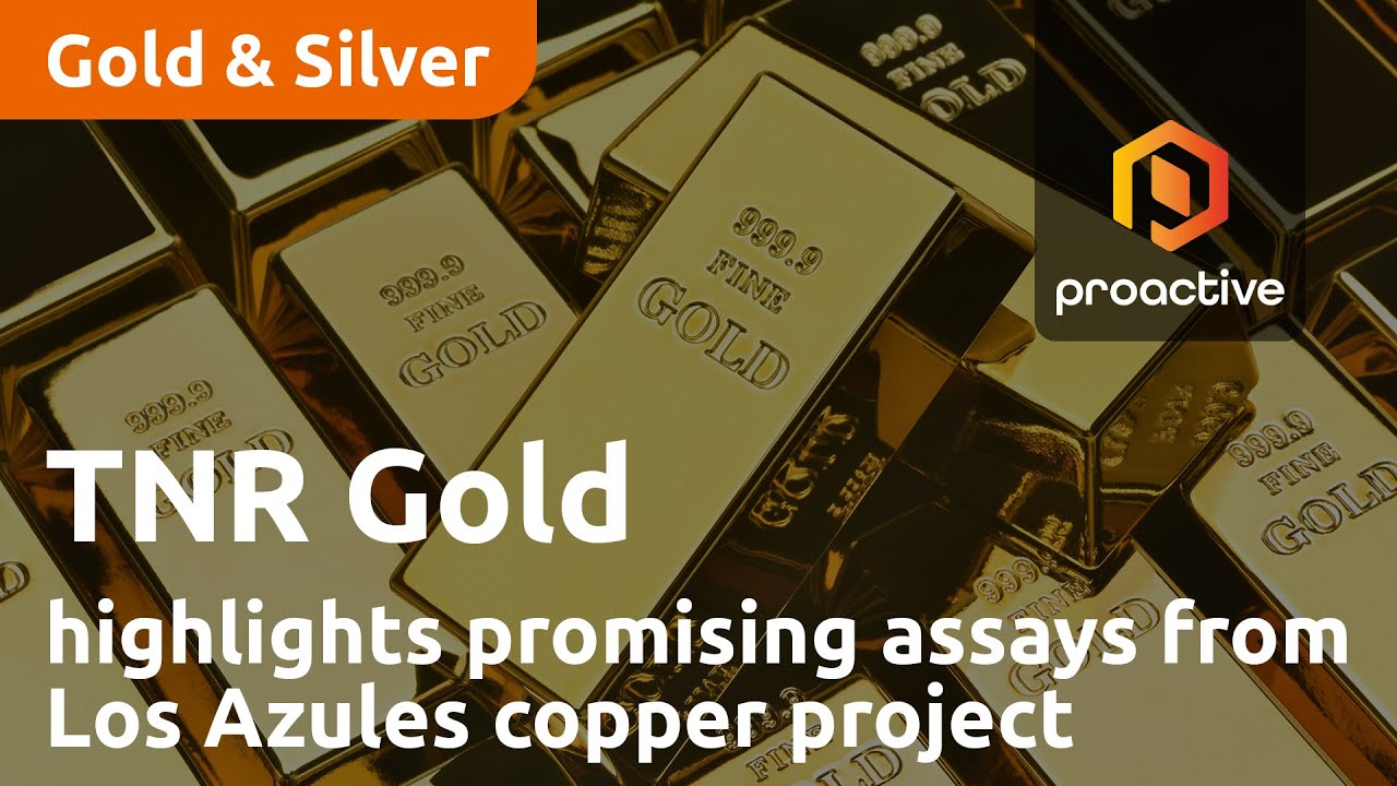 TNR Gold Executive Chairman highlights promising assays from Los Azules copper project