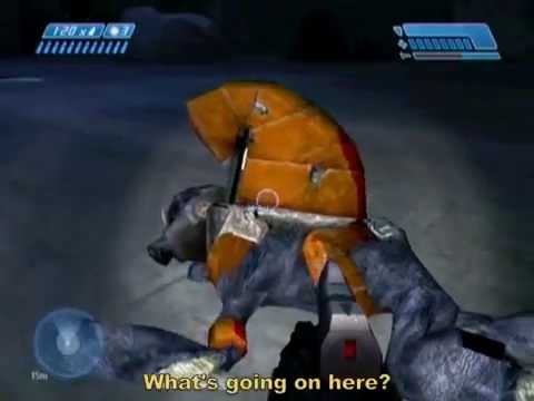 BCM192 - Harlequin Grunt