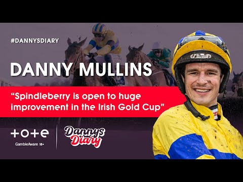 Spindleberry's Irish Gold Cup Chance 🏆 | Danny Mullins' day one Leopardstown rides | #DRF