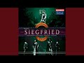 Siegfried, WWV 86C, Act III Scene 3: Oh! I cared always (Brunnhilde, Siegfried)