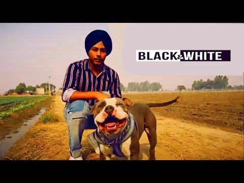 Black And White