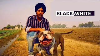 Black & White | Harinder Samra | Dreamboy | Ap Gagan Gill | Full Music Video | New Punjabi song 2018