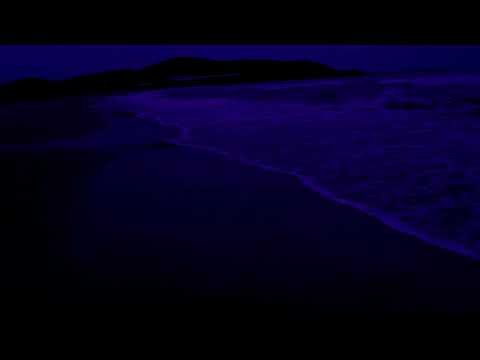 Sleep With Window Open to The Ocean   Deep Sleeping With Relaxing Ocean Sounds At Orchid Bay