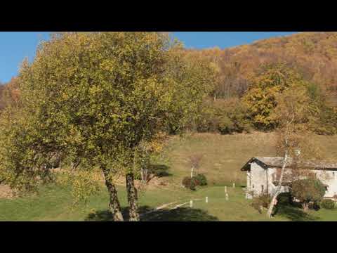 L.A. Dornel - Quatrième Suite (1709)