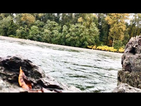 30 Minutes Relaxing River Sounds | STRESS RELIEF - MEDITATION - STUDYING - SLEEPING - Nature Sounds