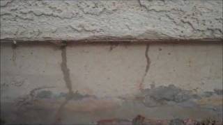 preview picture of video 'A Home in Maricopa Arizona with Termites'